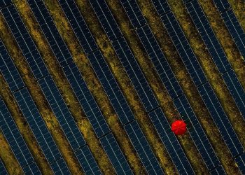 COP29 : « Il est temps d’accélérer, et non de reculer » sur la voie de la neutralité carbone