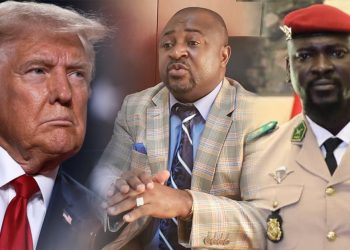 Affaire Dr. David Makongo et Ashapura : Une bataille judiciaire aux multiples rebondissements