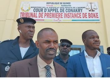 Boké-Escroquerie: Plus de 50 personnes interpellées pour tromperie à l’égard du public