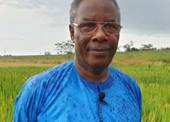 BOBO DENKEN : UN SYMBOLE DE KAKANDÉ À HONORER