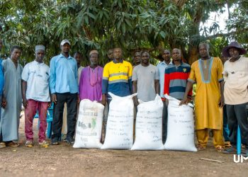 Le Groupe UMS lance la deuxième phase du projet « Riziculture » pour soutenir l’autosuffisance alimentaire