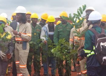 Sangarédi – Environnement : La CBG lance une campagne de restauration écologique sur 136 hectares à N’Dangara