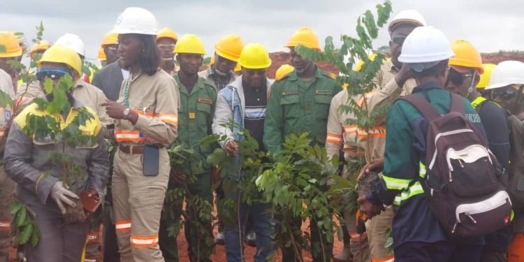Sangarédi – Environnement : La CBG lance une campagne de restauration écologique sur 136 hectares à N’Dangara