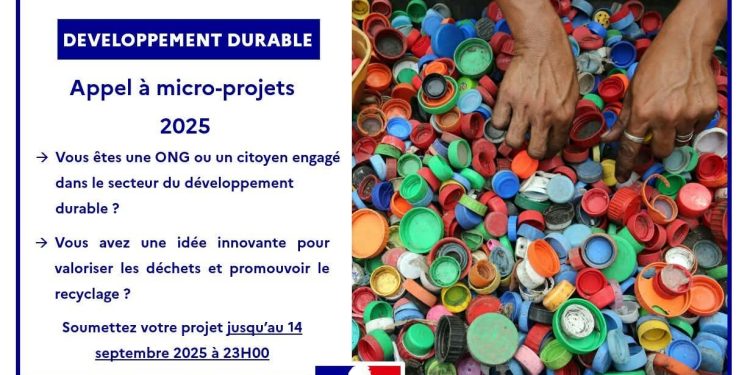 Guinée : l’Ambassade de France lance un appel à micro-projets pour un avenir plus durable