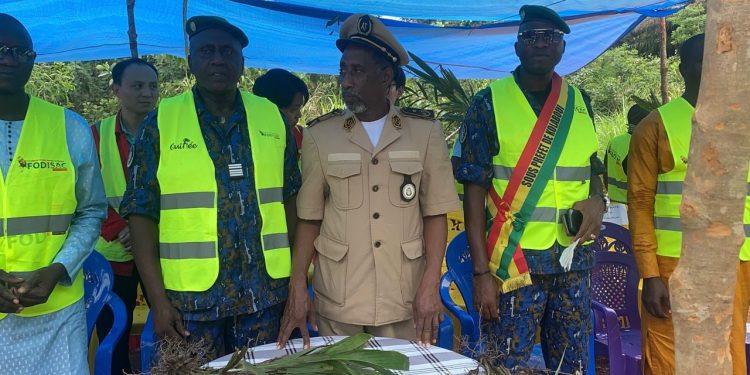 FODISAC en action : 10 hectares de palmiers et d’hévéas plantés à Sogoboly, berceau du roi Dinah Salifou Camara – FODISAC marche vers l’espace vert.