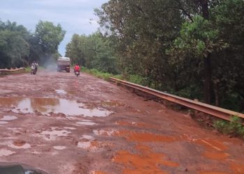 Urgence sur la route Boké–Boffa : un appel pressant à l’action