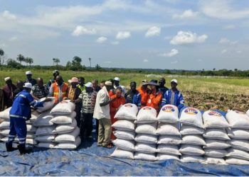 Boké-Agriculture: Le Consortium SMB-Winning célèbre la réussite de la culture du riz de 100ha sur la plaine agricole d’Amarayah