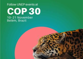 Environnement | Ouverture de la COP30 à Belém : une étape décisive pour l’action climatique mondiale