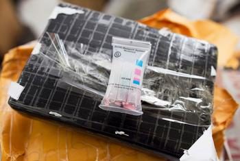 Haïti, plaque tournante du trafic de drogues