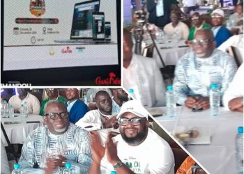 Mines en Guinée : Damanda, la plateforme qui révolutionne la gestion des titres miniers