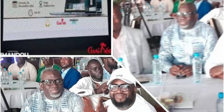 Mines en Guinée : Damanda, la plateforme qui révolutionne la gestion des titres miniers