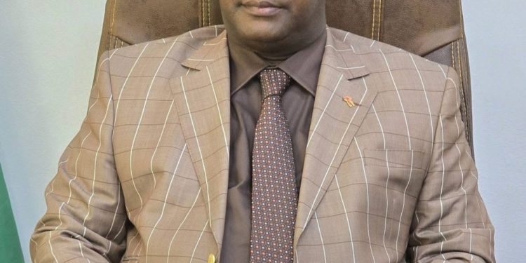 Égypte : cinq étudiants guinéens interpellés, l’ambassade de Guinée intervient rapidement