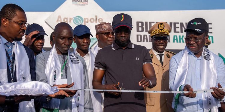 Le Président Bassirou Diomaye Faye inaugure le parc agro-industriel de Kolda, levier de transformation économique du Sud