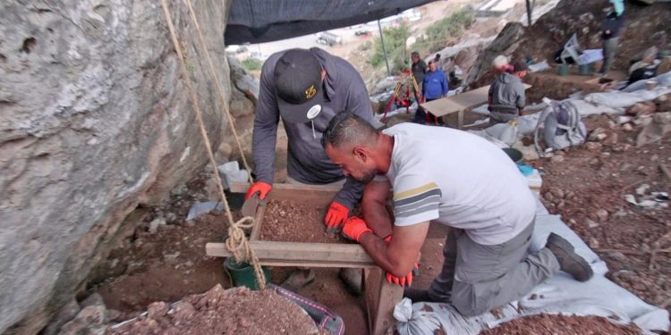 Israël : une grotte vieille de 300 000 ans révèle un chapitre clé de la préhistoire humaine