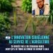 Israël : une découverte scientifique majeure ouvre de nouvelles perspectives pour la sécurité alimentaire mondiale
