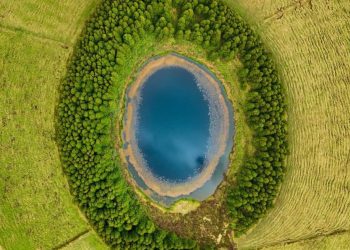 GÉOLOGIE ET ALIMENTATION : QUAND LE SOL RACONTE L’HISTOIRE DE CE QUE NOUS MANGEONS