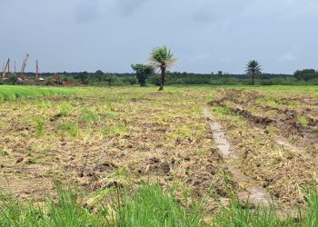 Boké-Mines : la Société TBEA-OUEST Africa Port And-Holding/WAPH lance les opérations d’implantation des infrastructures minières dans un climat apaisé