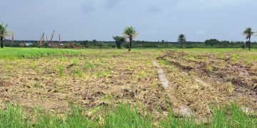 Boké-Mines : la Société TBEA-OUEST Africa Port And-Holding/WAPH lance les opérations d’implantation des infrastructures minières dans un climat apaisé