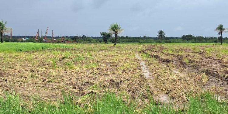 Boké-Mines : la Société TBEA-OUEST Africa Port And-Holding/WAPH lance les opérations d’implantation des infrastructures minières dans un climat apaisé