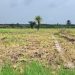 Boké-Mines : la Société TBEA-OUEST Africa Port And-Holding/WAPH lance les opérations d’implantation des infrastructures minières dans un climat apaisé