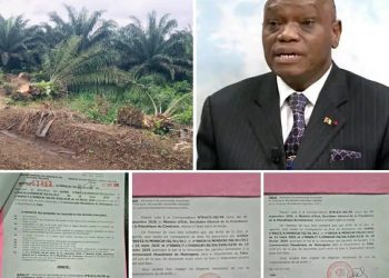 Cameroun : la cession des terres de la CDC au cœur d’une controverse dans le Fako