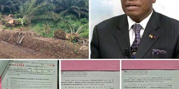 Cameroun : la cession des terres de la CDC au cœur d’une controverse dans le Fako