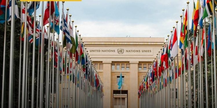 Assemblée générale de l’ONU : l’Allemagne plaide pour une organisation plus forte et représentative